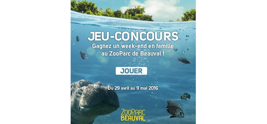 Jeu concours spécial Zoo de Beauval par Carrefour Spectacles