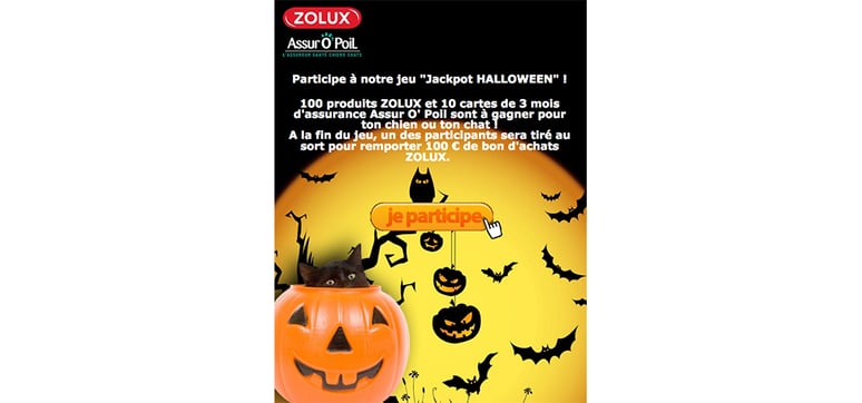 Jeu concours spécial halloween par Zolux