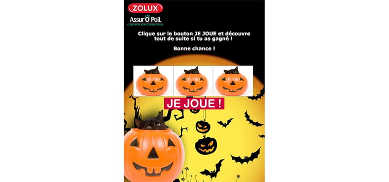 Jeu concours spécial halloween par Zolux